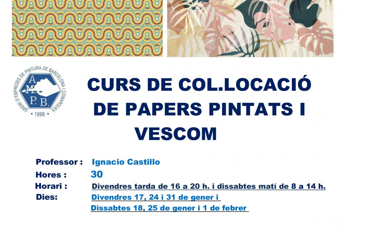 CURS DE COL.LOCACIÓ DE PAPERS PINTATS I VESCOM